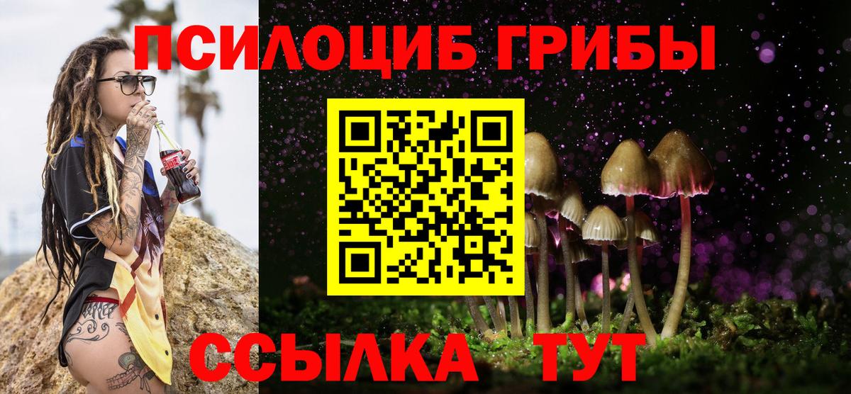 Галлюциногенные грибы MAGIC MUSHROOMS Гуково