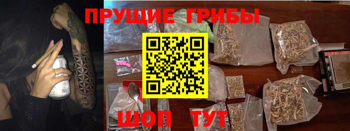 Галлюциногенные грибы GOLDEN TEACHER  Галлюциногенные грибы мицелий  Гуково  Вход с VPN 